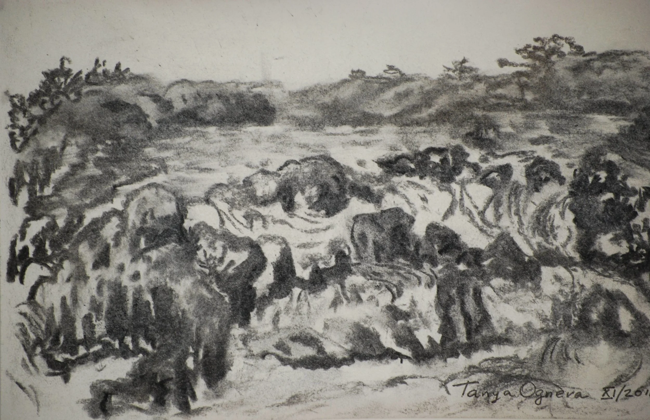 Great falls. Black and White