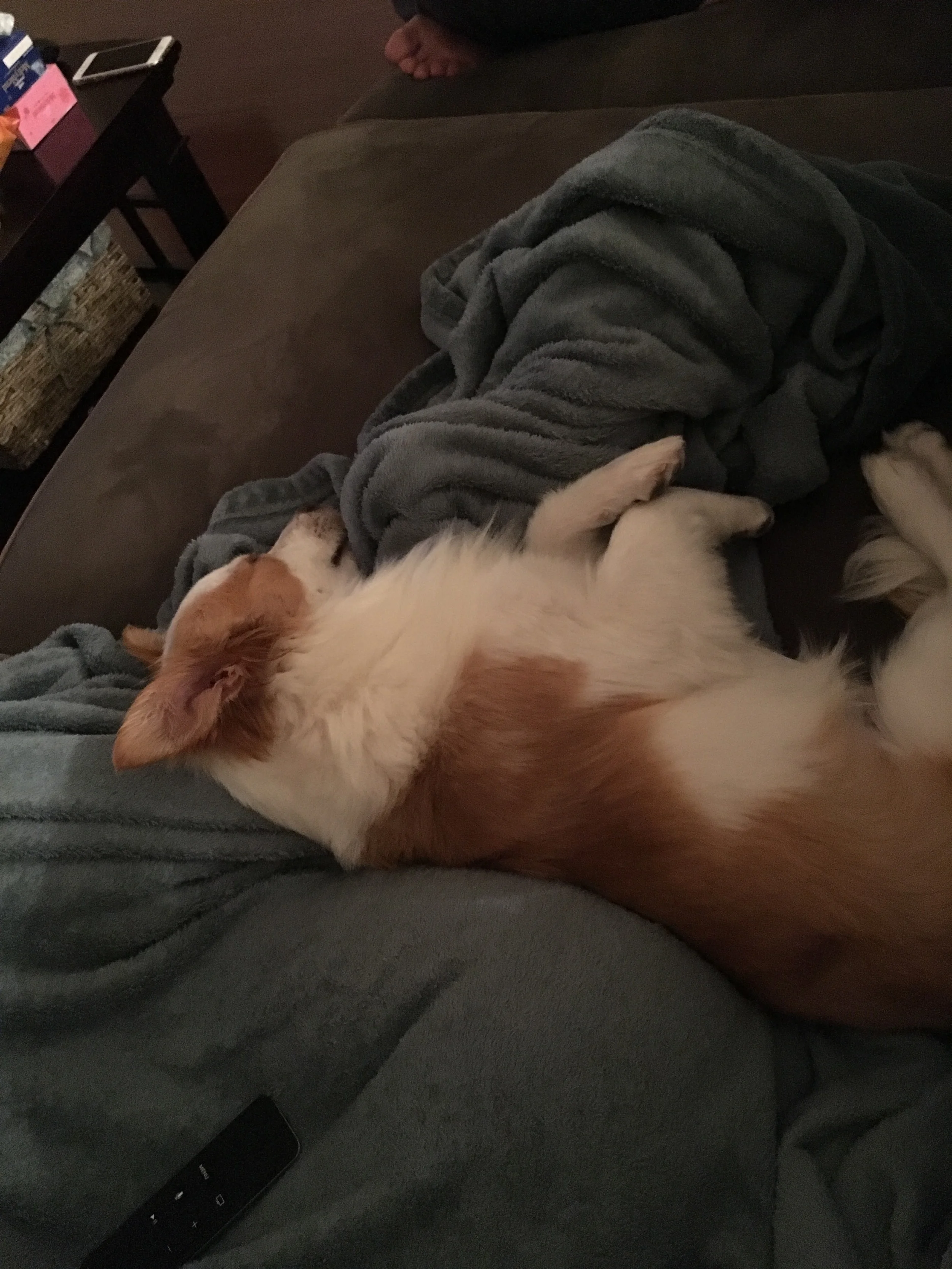 More naps.