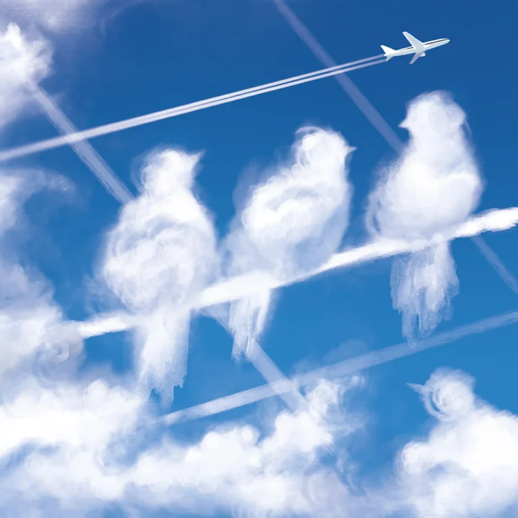 BBC_Focus_Contrail_small1.jpg