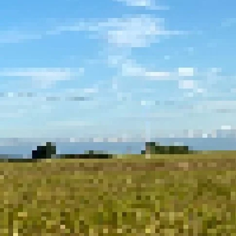 8bit forest.jpg