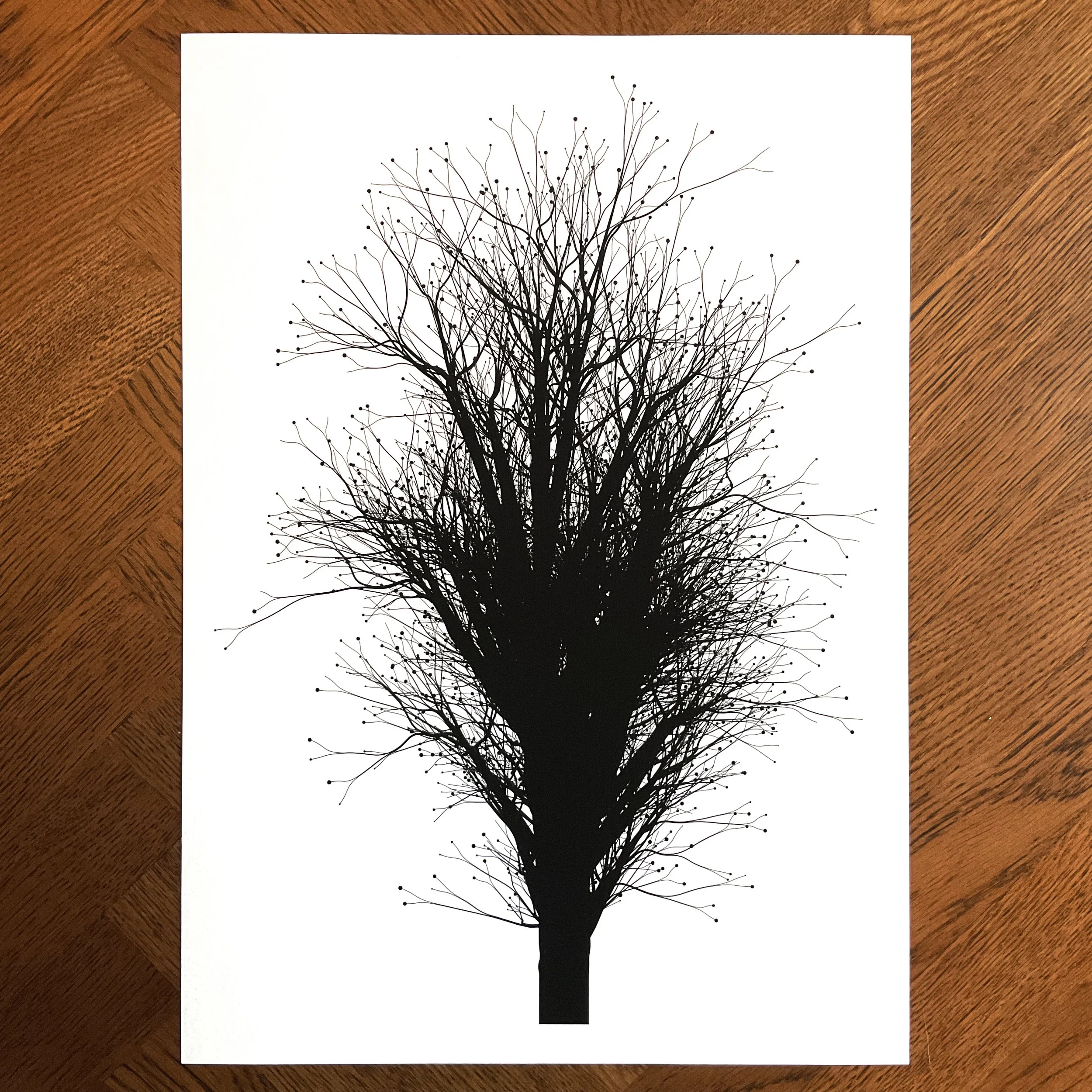 Winter Tree.jpg