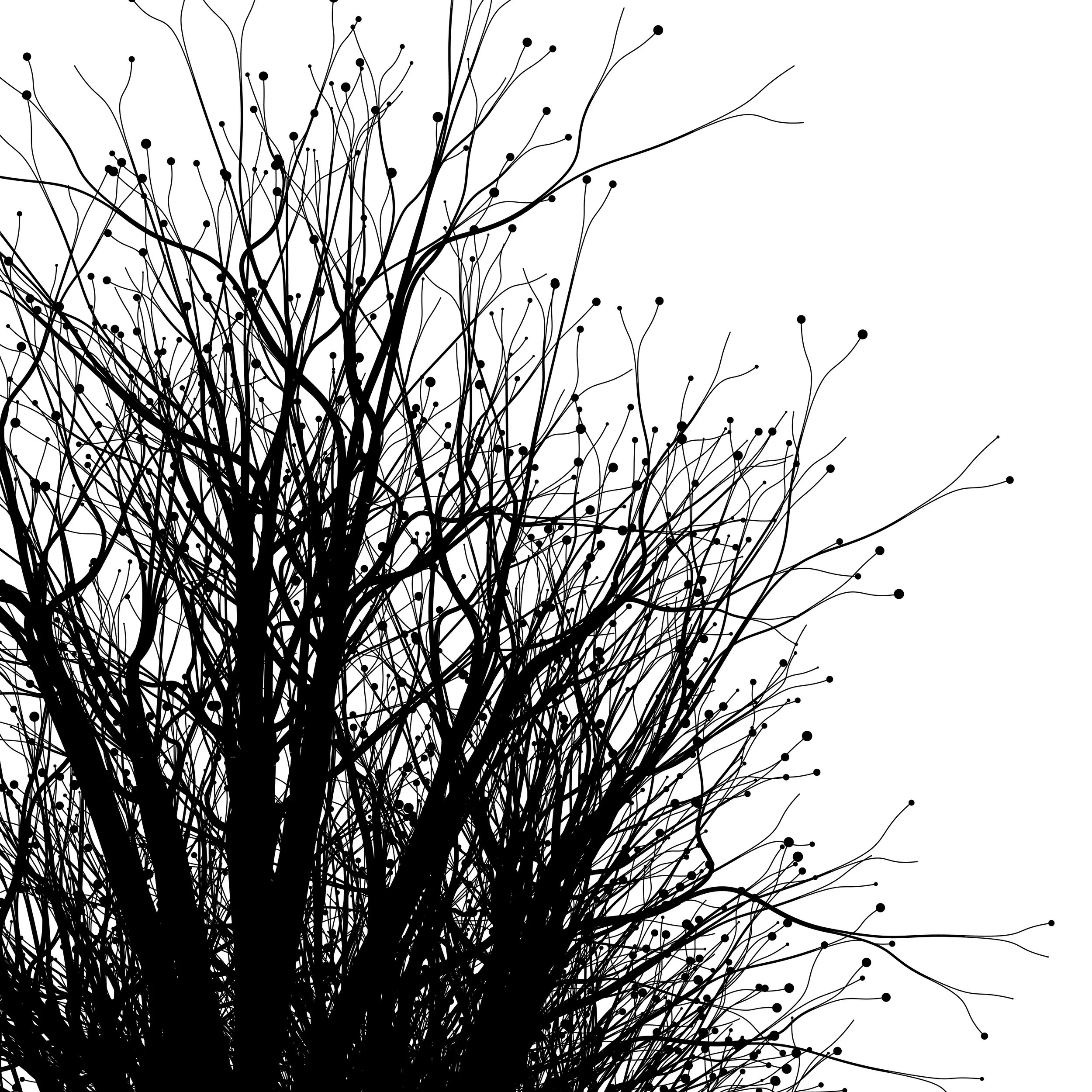 Winter Tree D.jpg