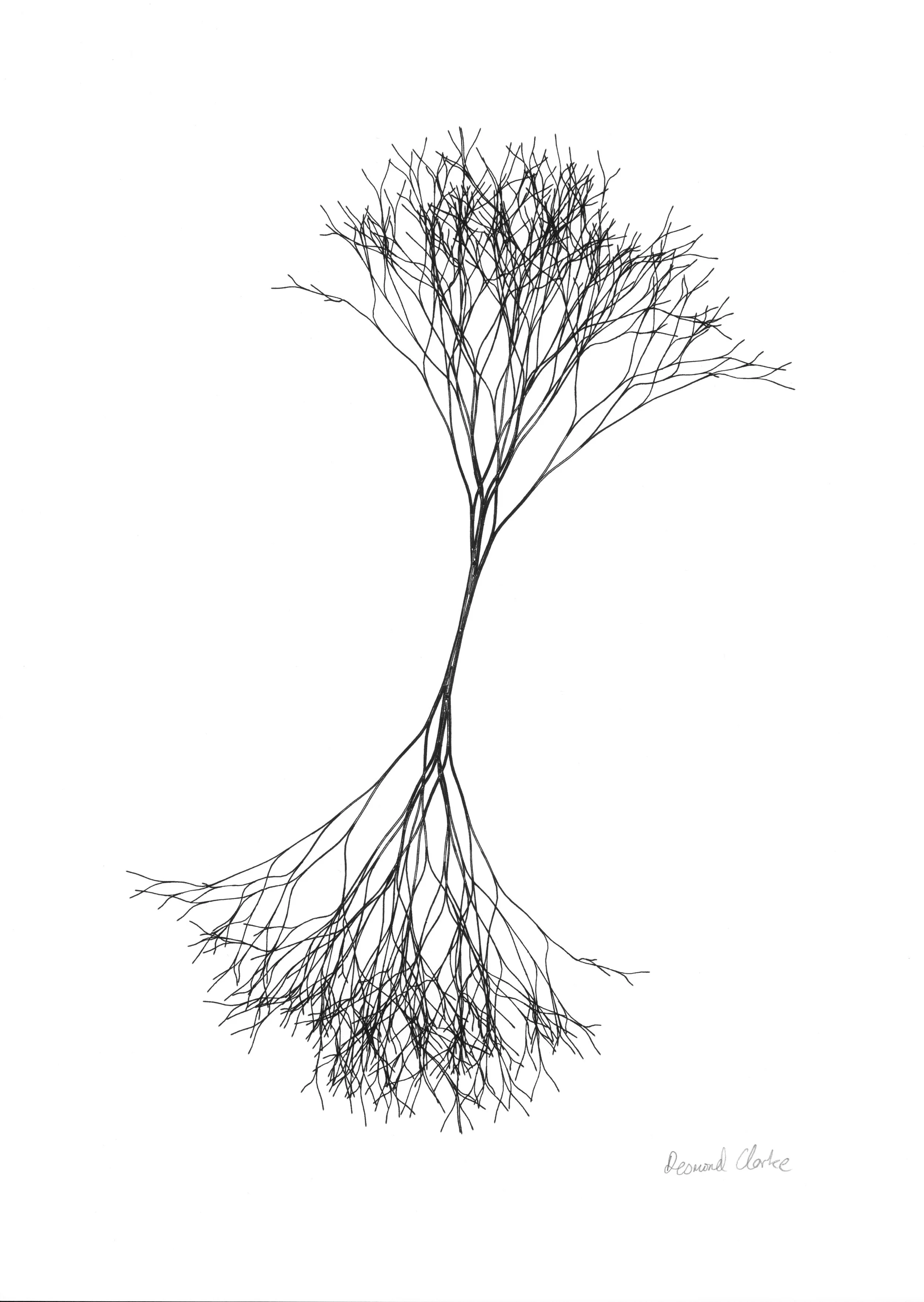 20260911165758-0001A.jpg