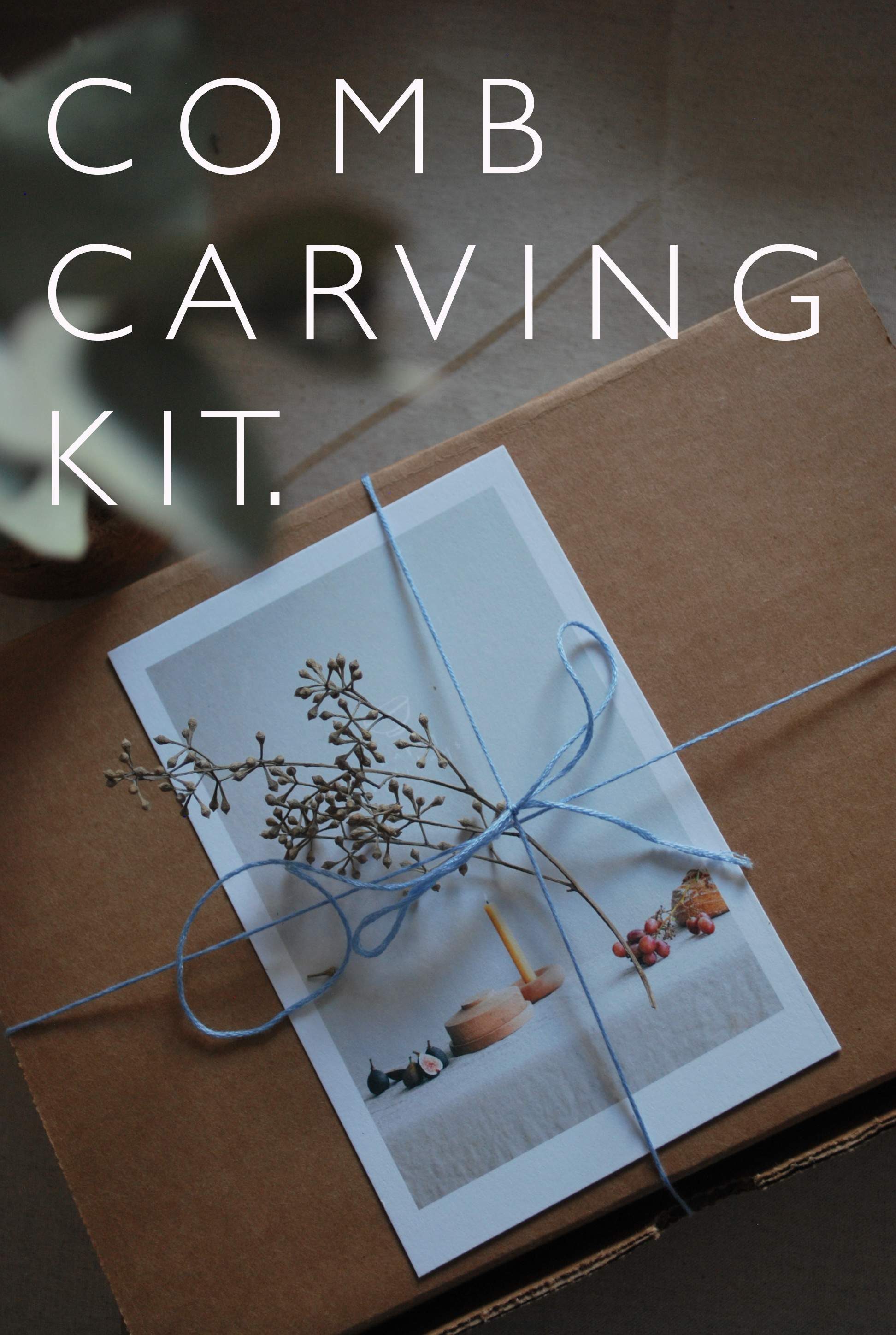 carvingkitwritingy.png