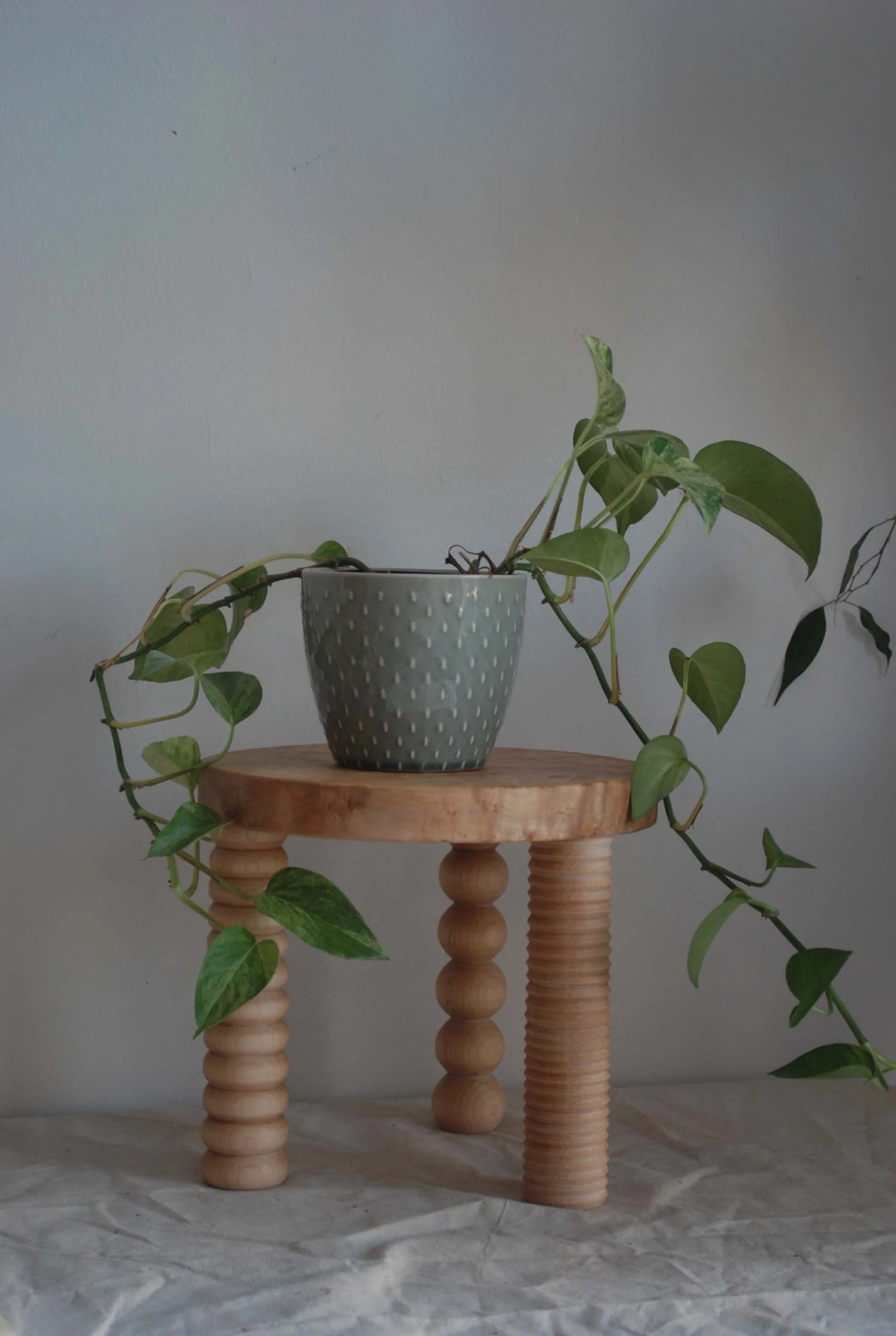 Mismatch Plant Stand-Medium