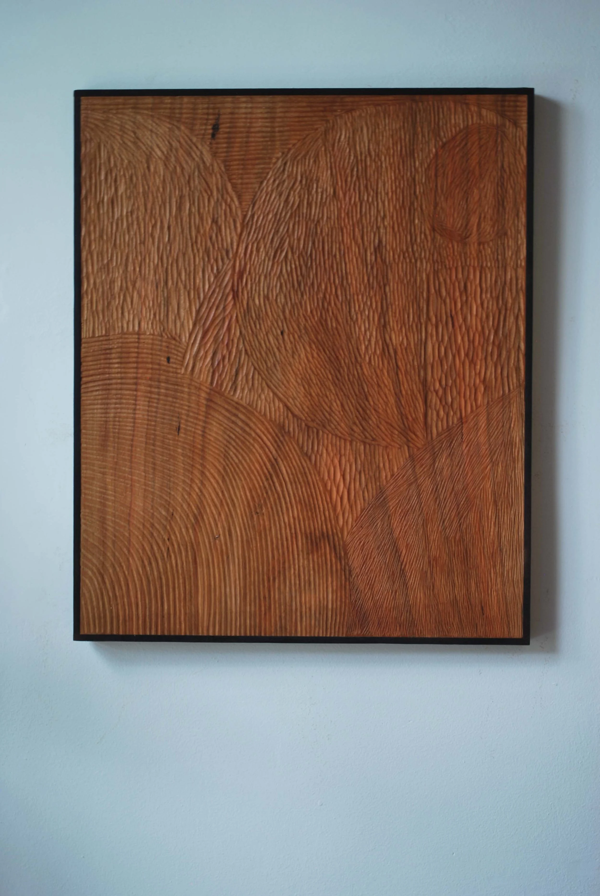 art55.jpg