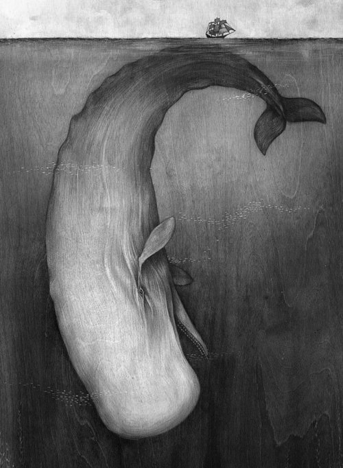 Lisel Jane Ashlock (http://www.liseljaneashlock.com/projects/#/moby-dick/)
