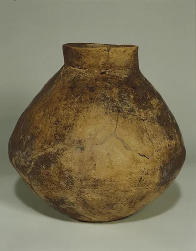 giara di 9 litri con residui di acido tartarico datata tra il 5400 e il 5000 a.c. (https://s-media-cache-ak0.pinimg.com/564x/e3/ca/d6/e3cad640db996f127eab2ba2ac6c61c9.jpg)