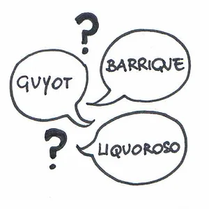 T come terroir: che cos'è il terroir?