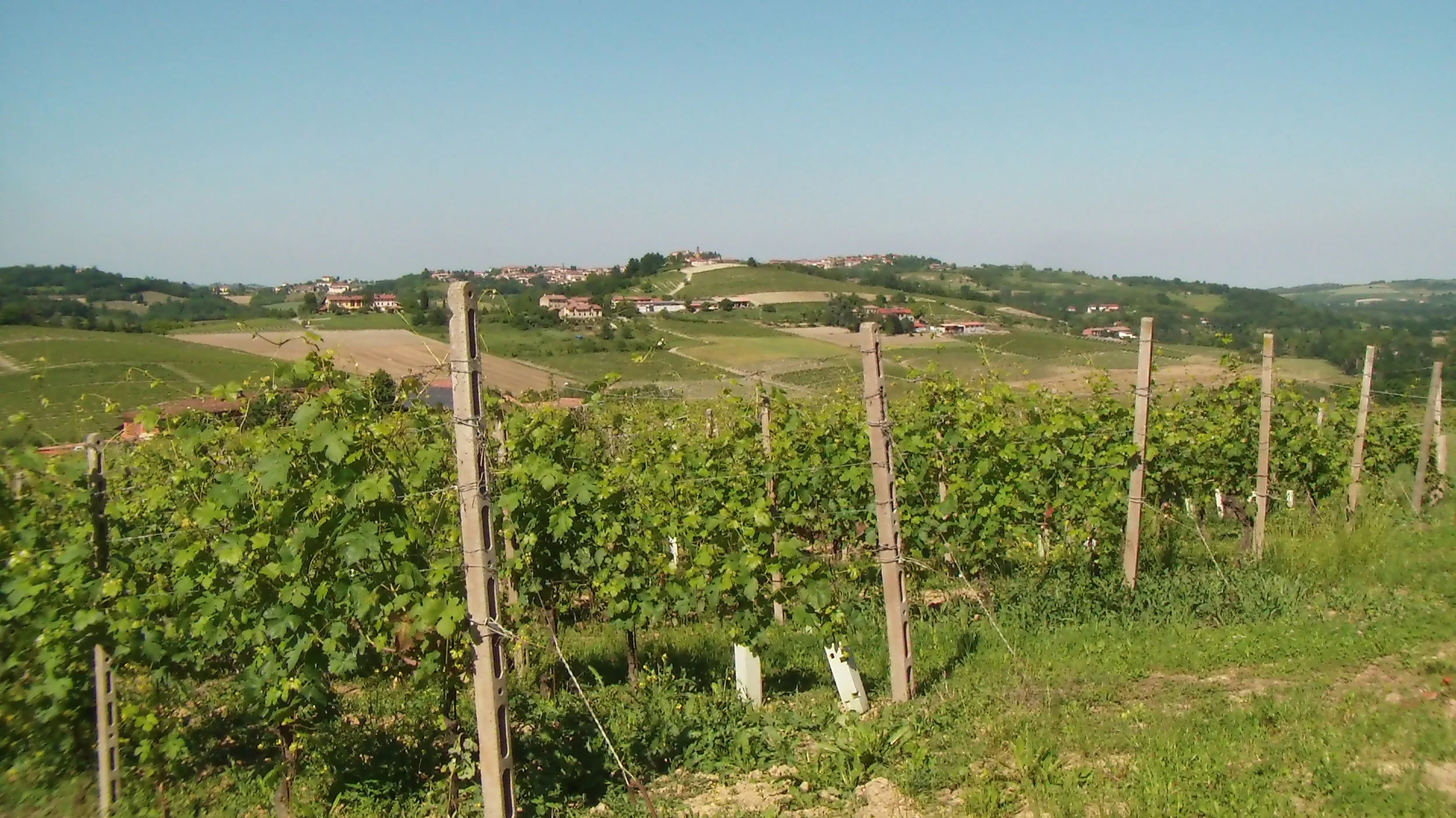 Vignale, maggio 2015