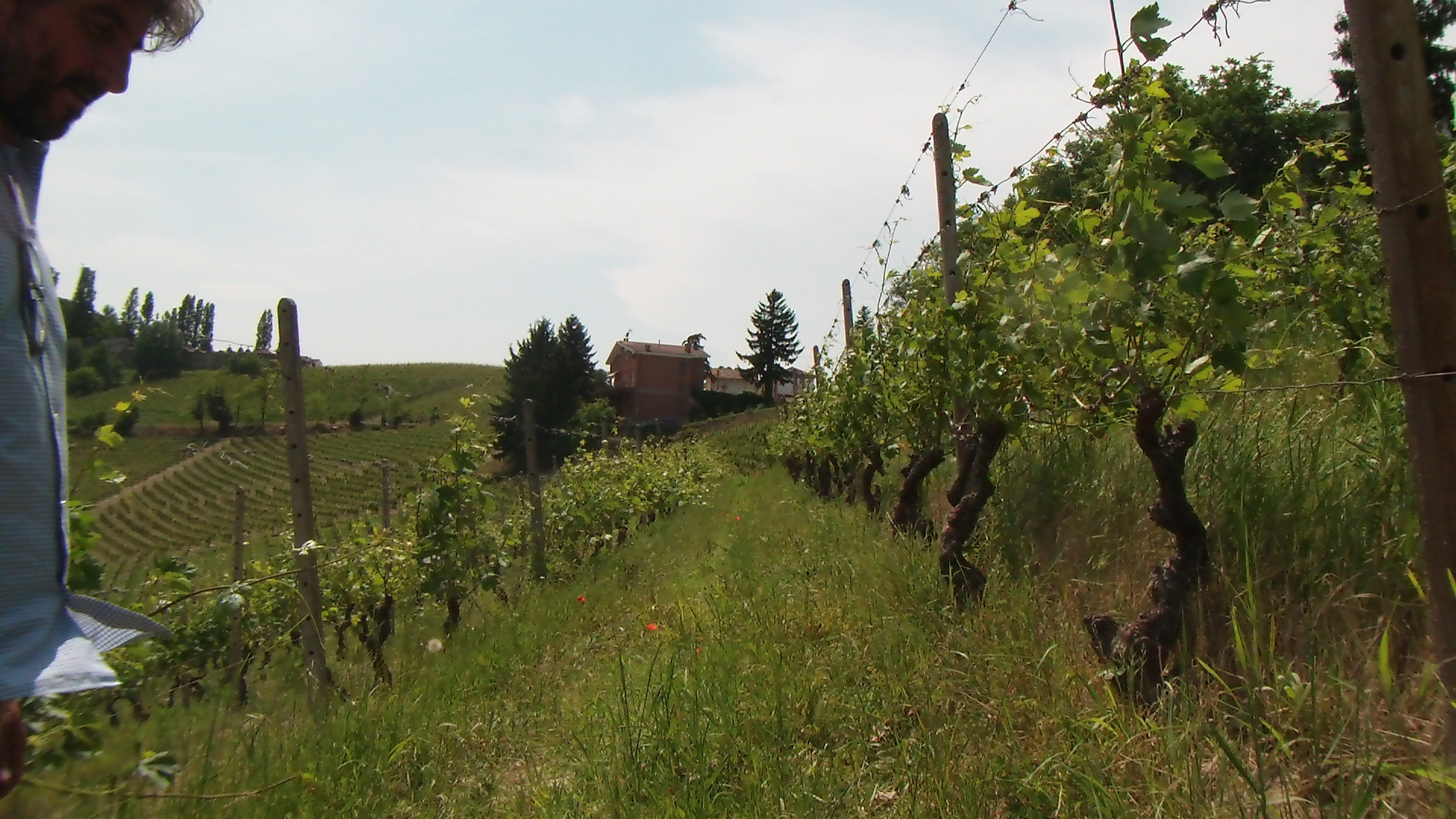 Bionzo, maggio 2015