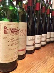 Il diario segreto di Walter