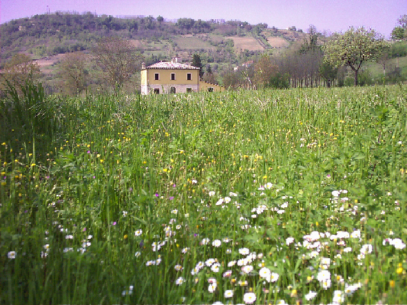 Ph. credits: sito isitutuzionale di San Martino sulla Marrucina