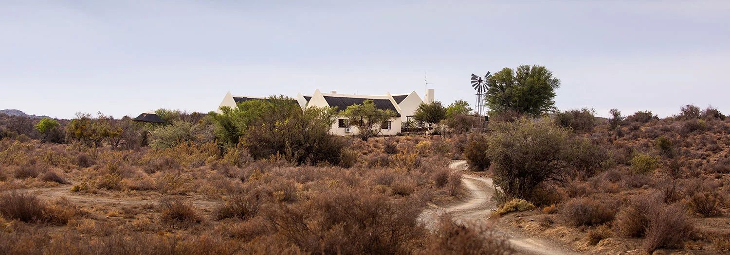 Lodge_Roam_TCunniffe_003.jpg