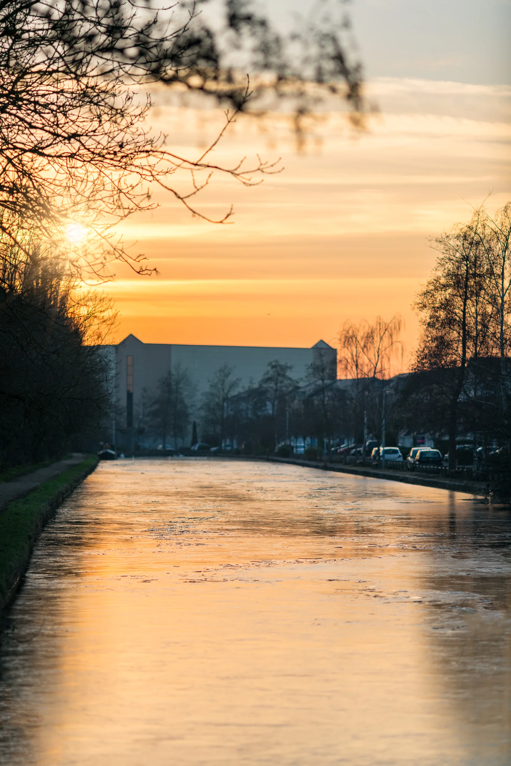 DSC00320-Edit.jpg