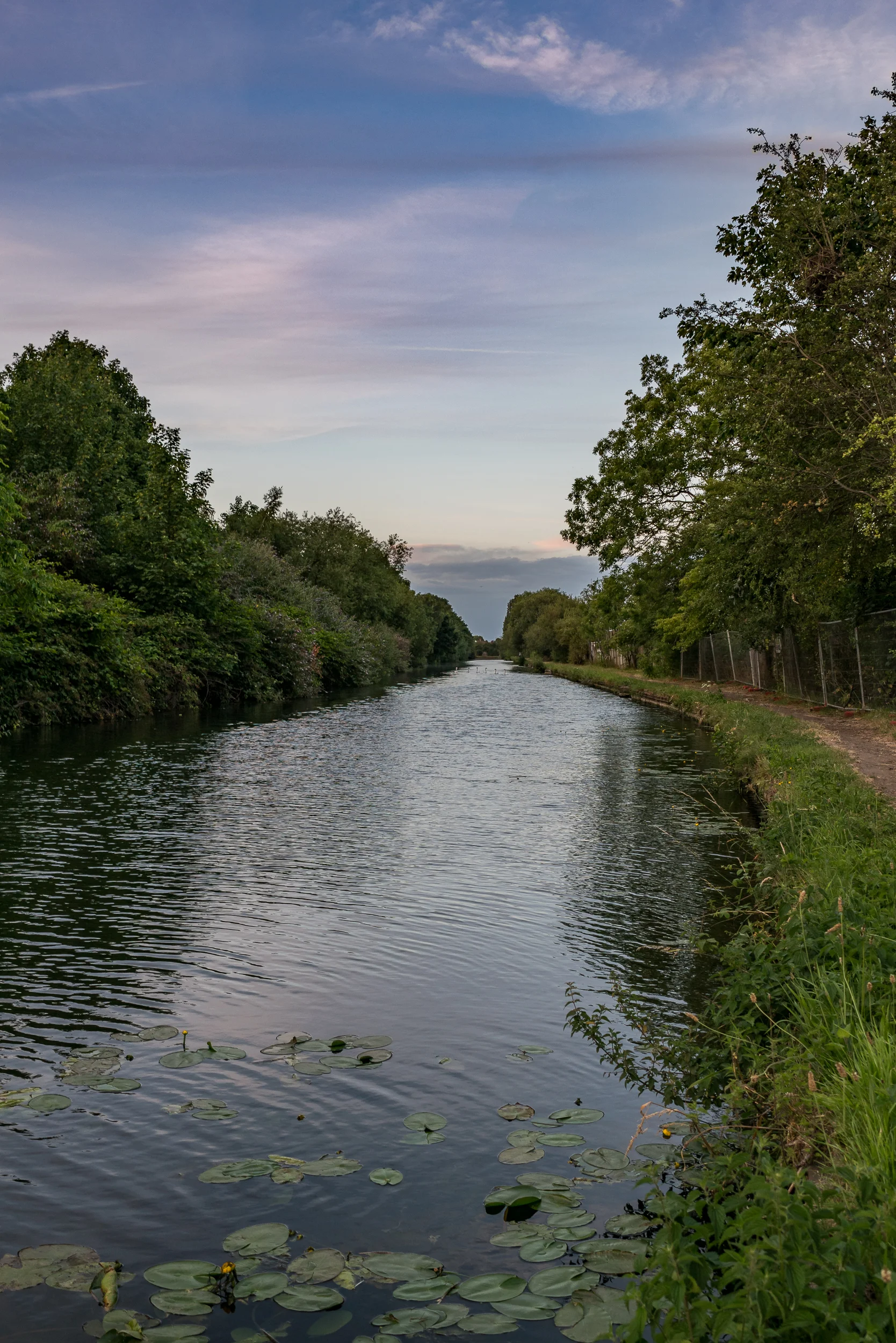 DSC00821-Edit.jpg