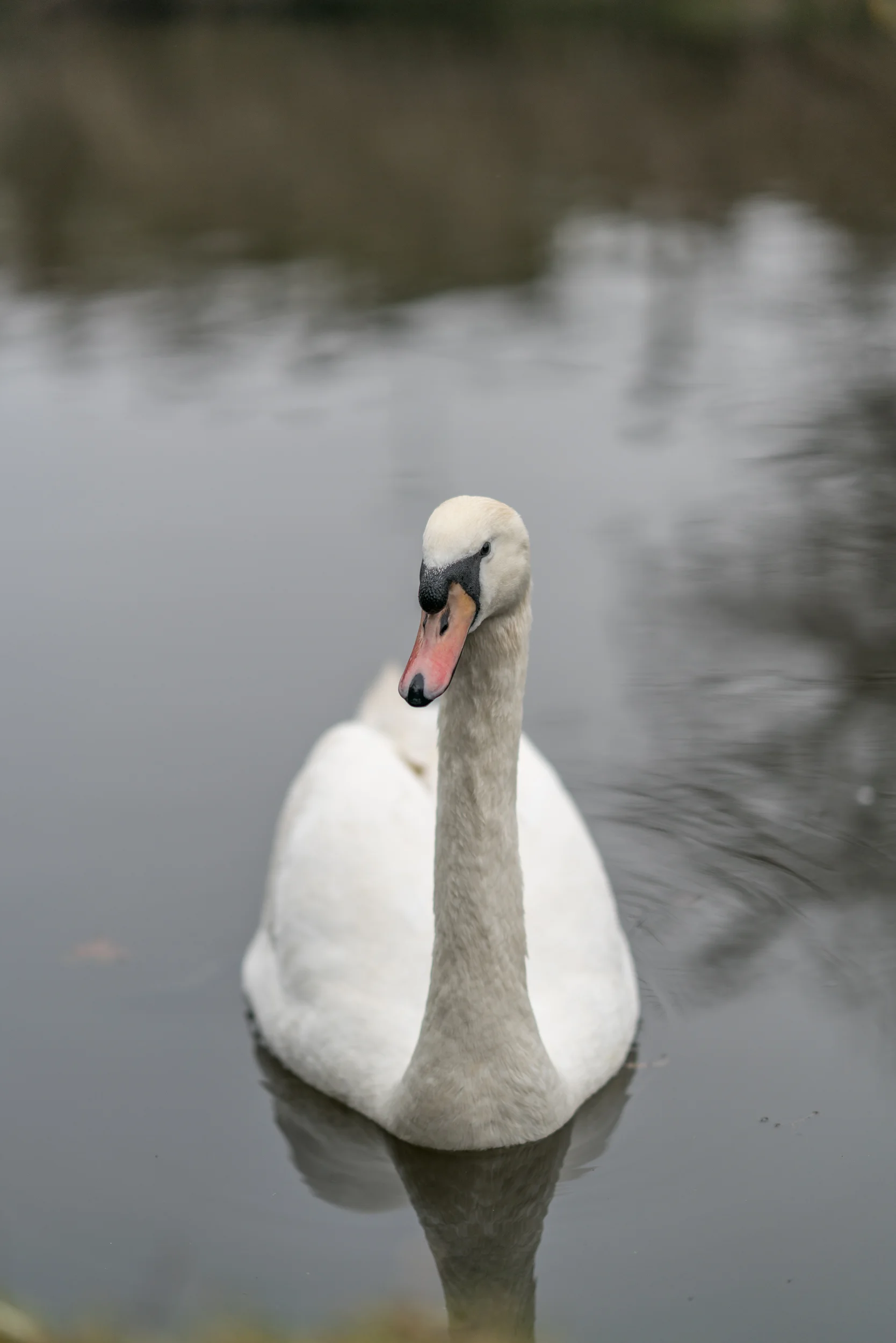 DSC01569.jpg