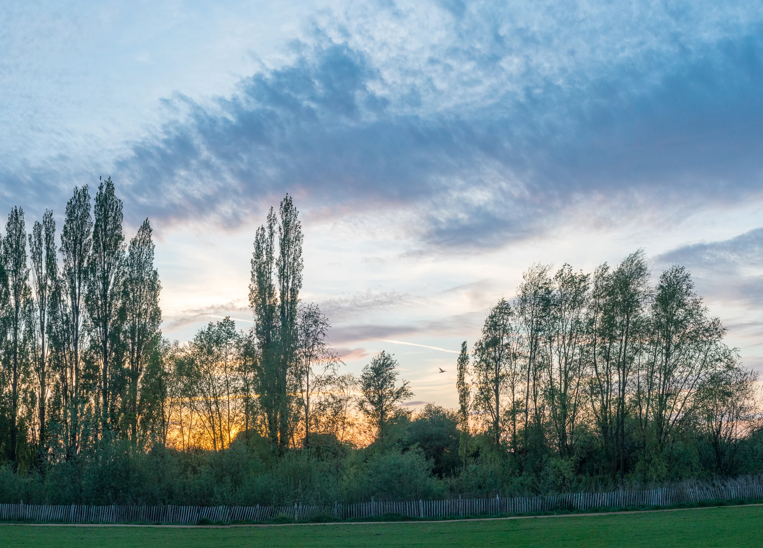 DSC03507-Pano.jpg