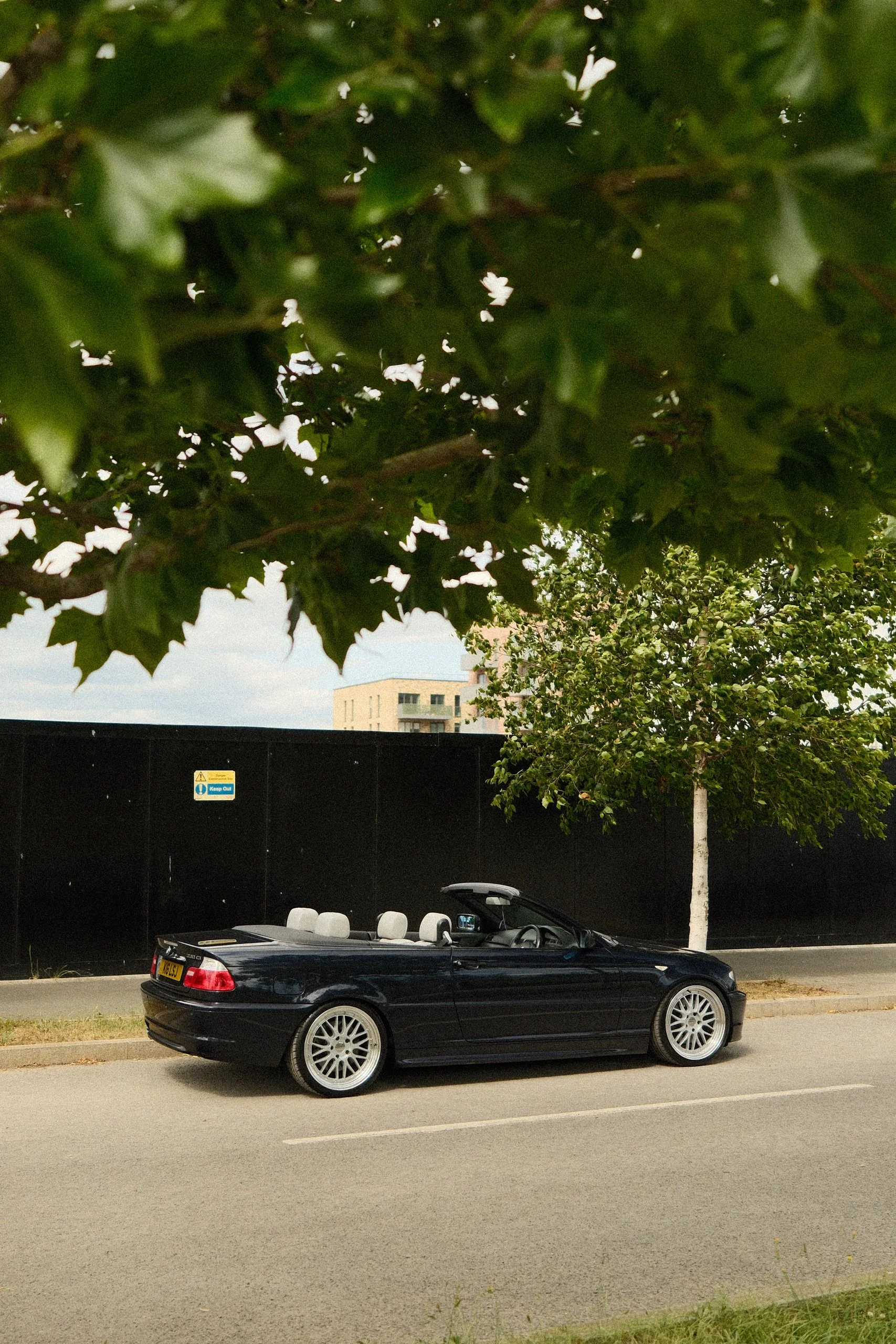 DSCF5313.jpg