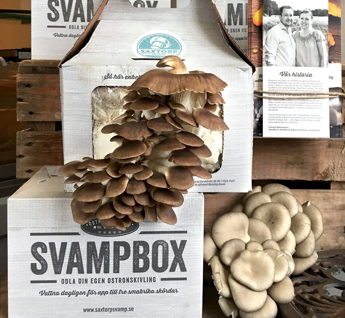 Förpackningsdesign åt Saxtorp Svamp