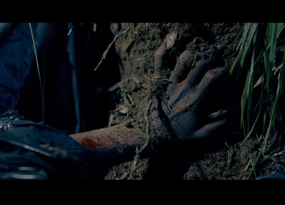 Boktrailer för Sov du lilla videung