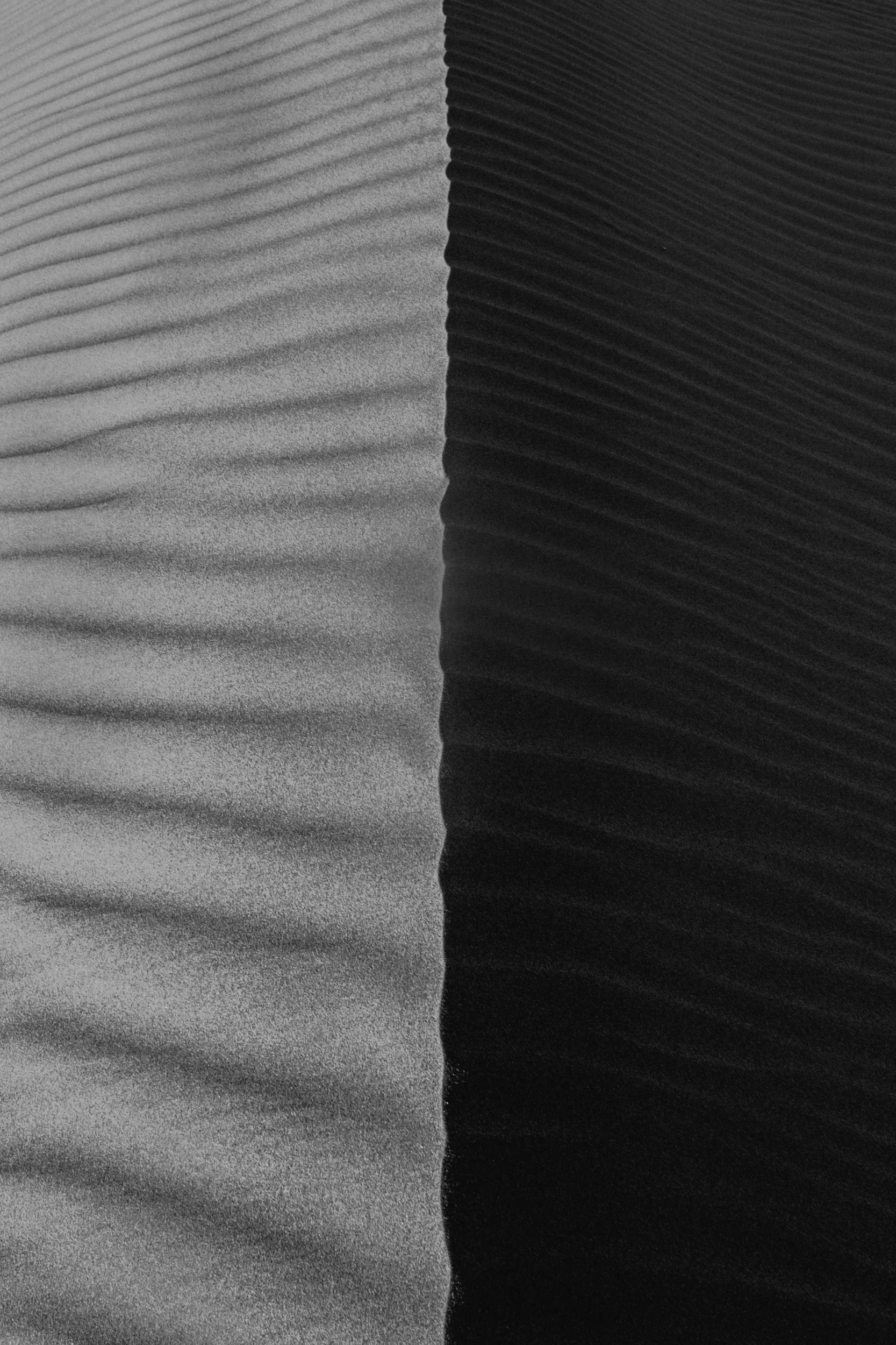 Dune 4.jpg