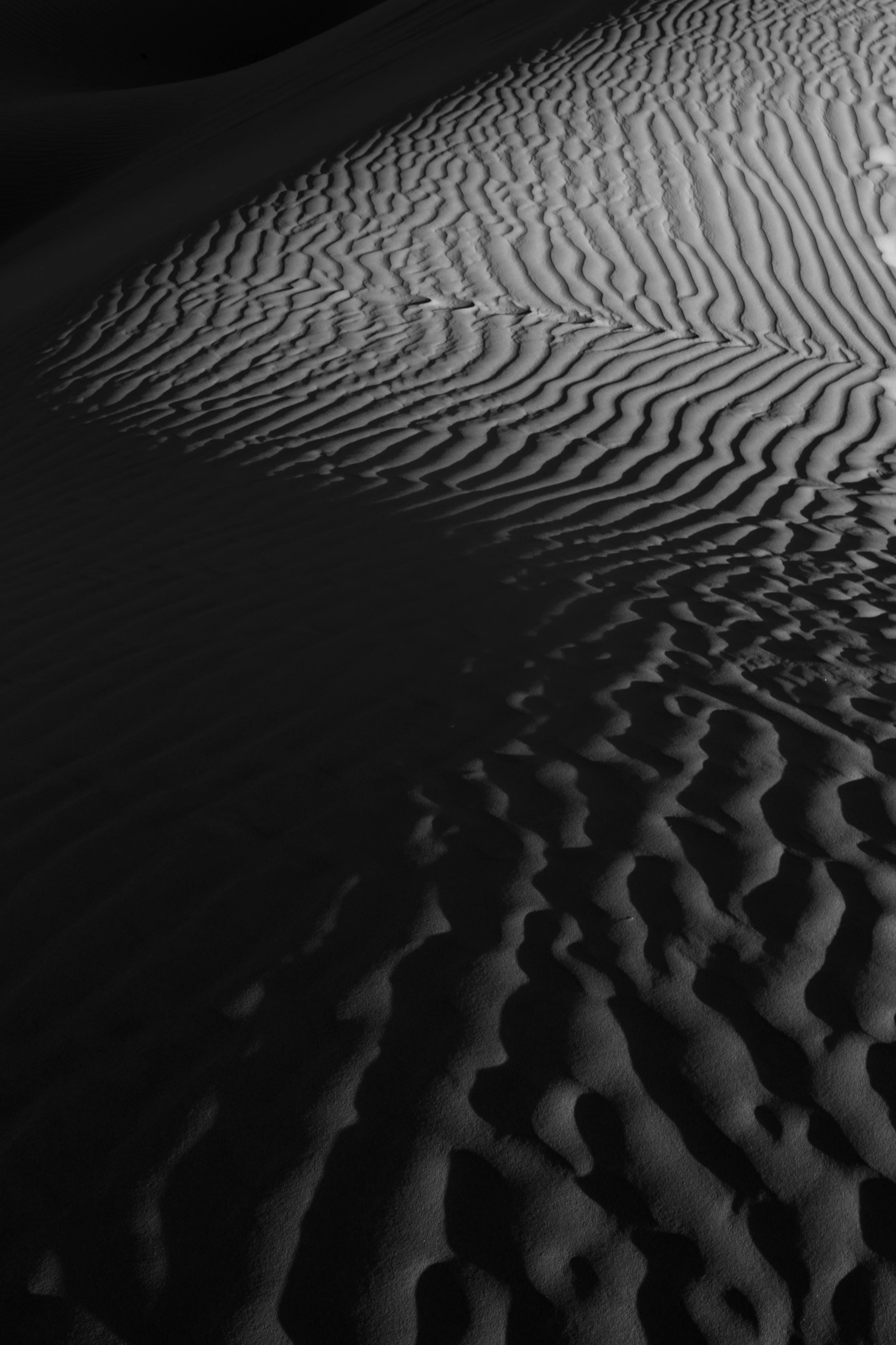 Dune 2.jpg