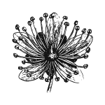 Logo22118-07.png