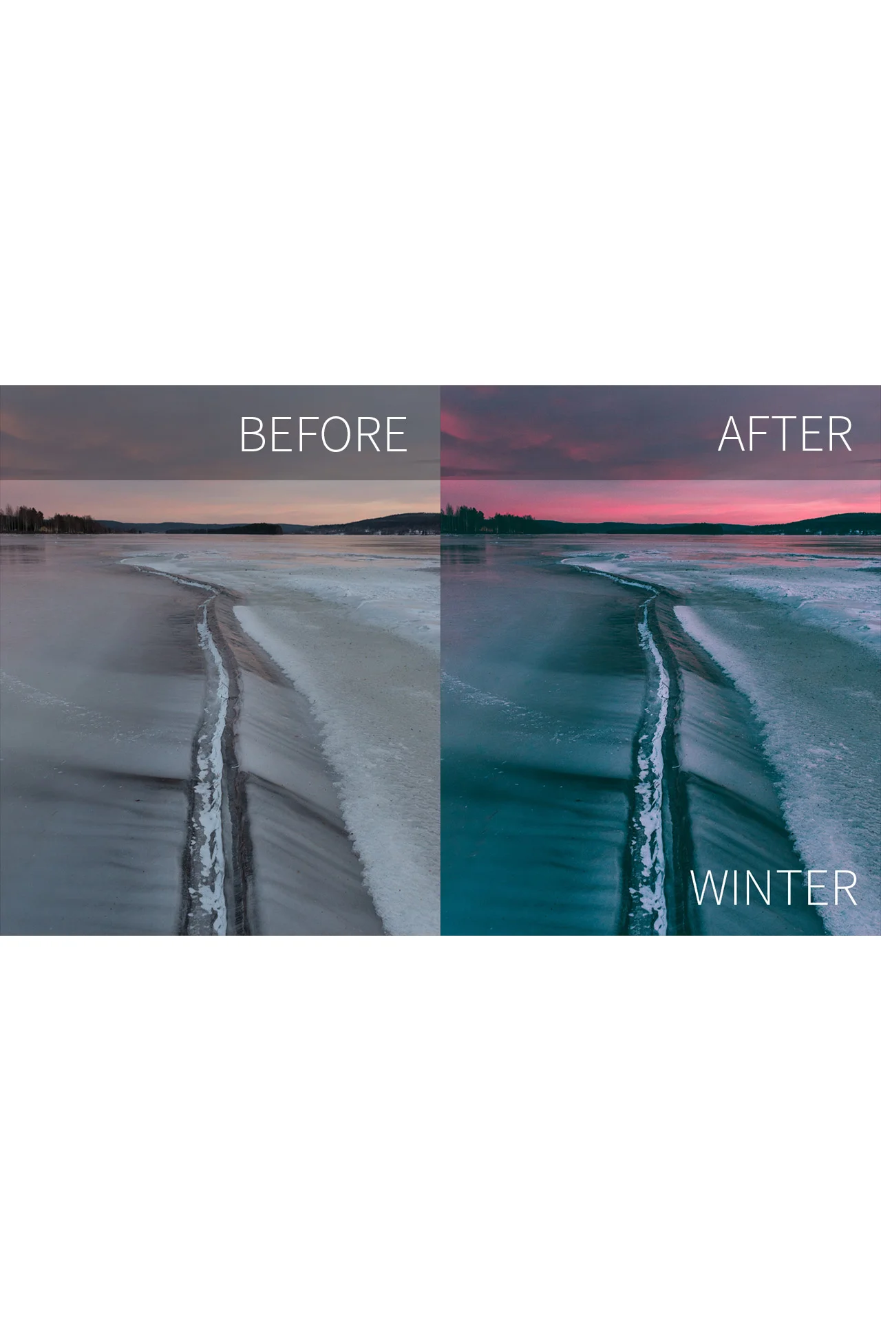 Winter.jpg