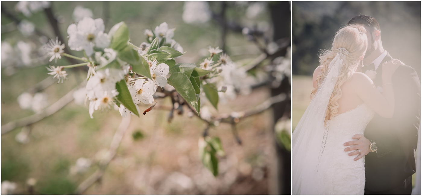 Leogate Estate Wines Wedding + Pokolbin Wedding Photographer + Louise and Daniel_0025.jpg