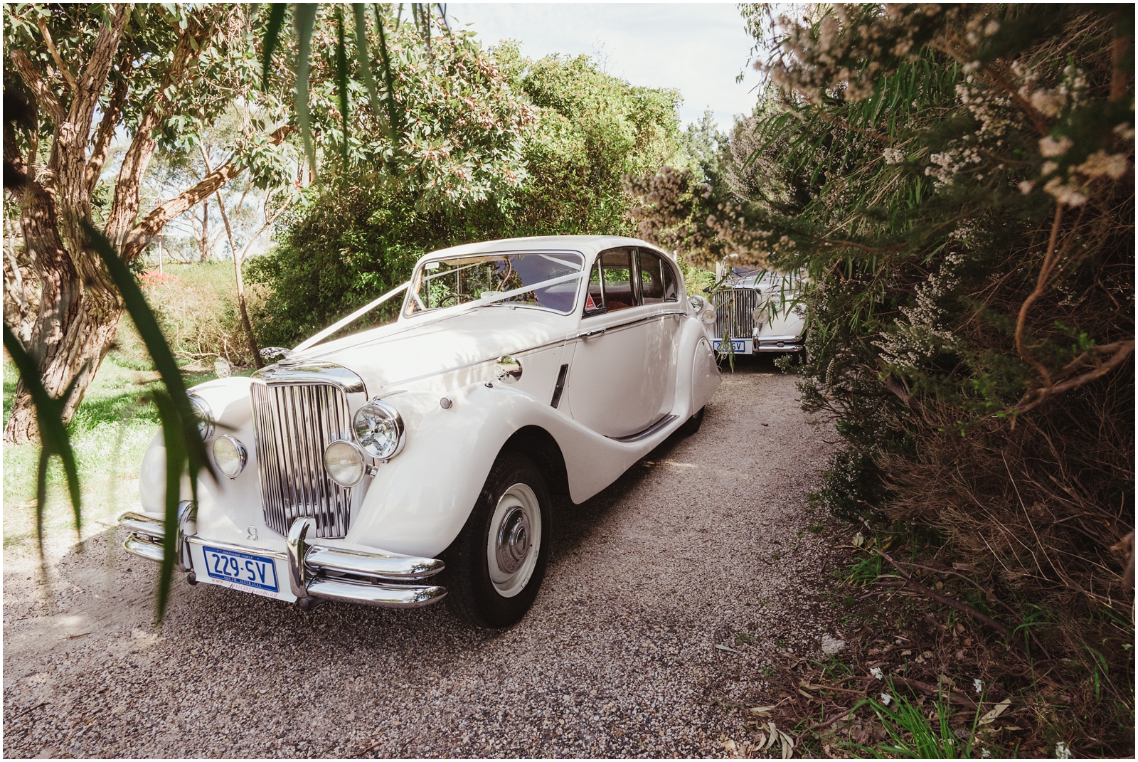 Popcorn Photography Adelaide Wedding Photographer_0022.jpg