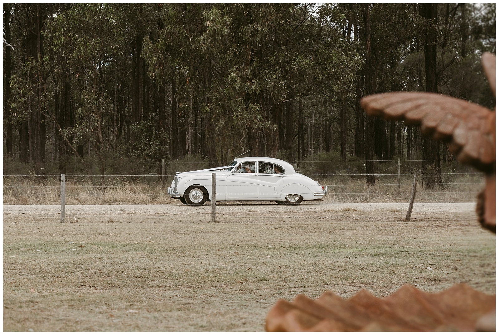 Ironbark Hill wedding popcorn photography_0014.jpg