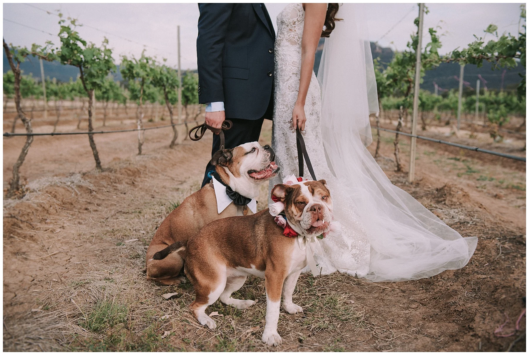 Circa1876 Wedding Photographer_0096.jpg
