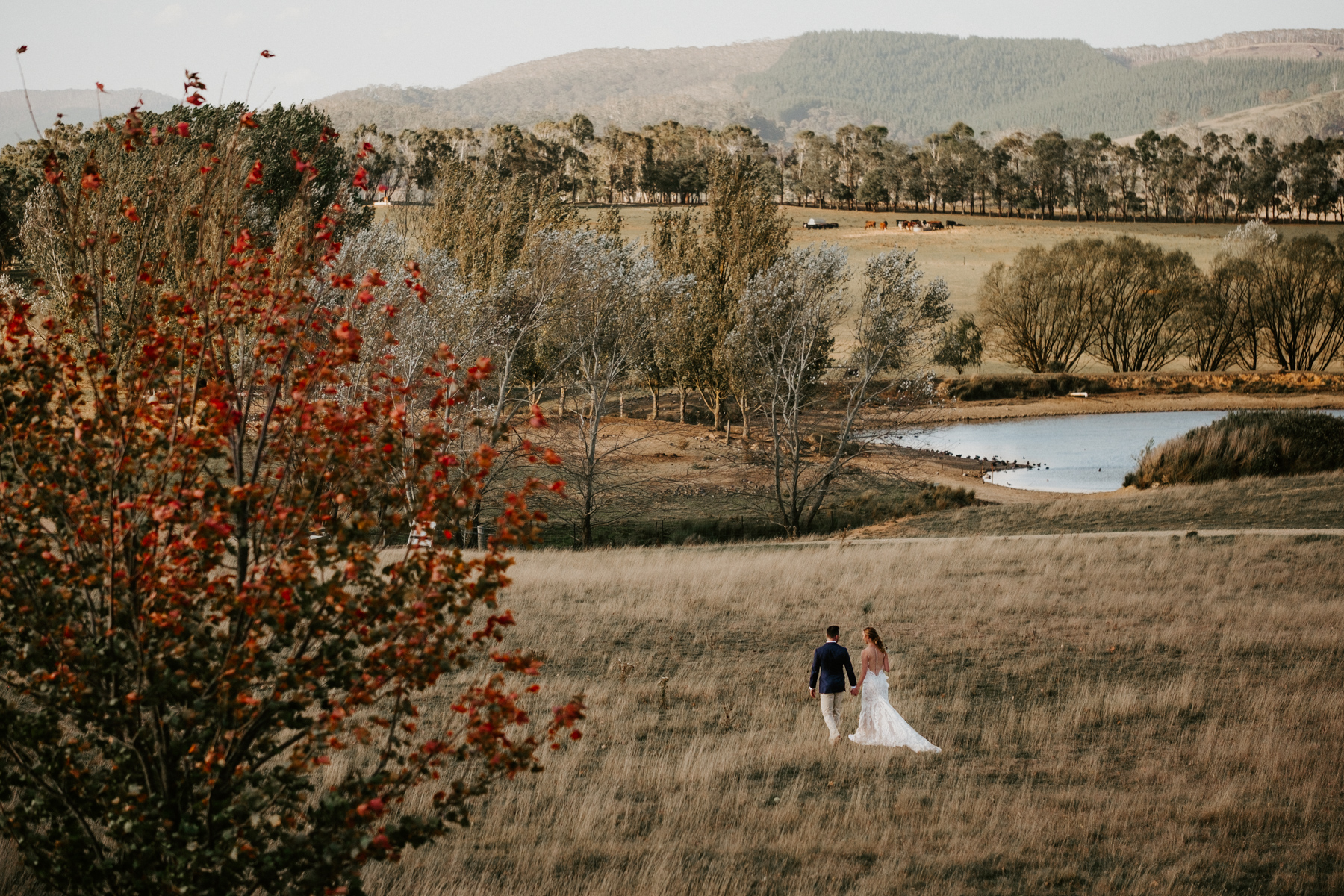 WALDARA FARM WEDDING PHOTOGRAPHY-023.jpg