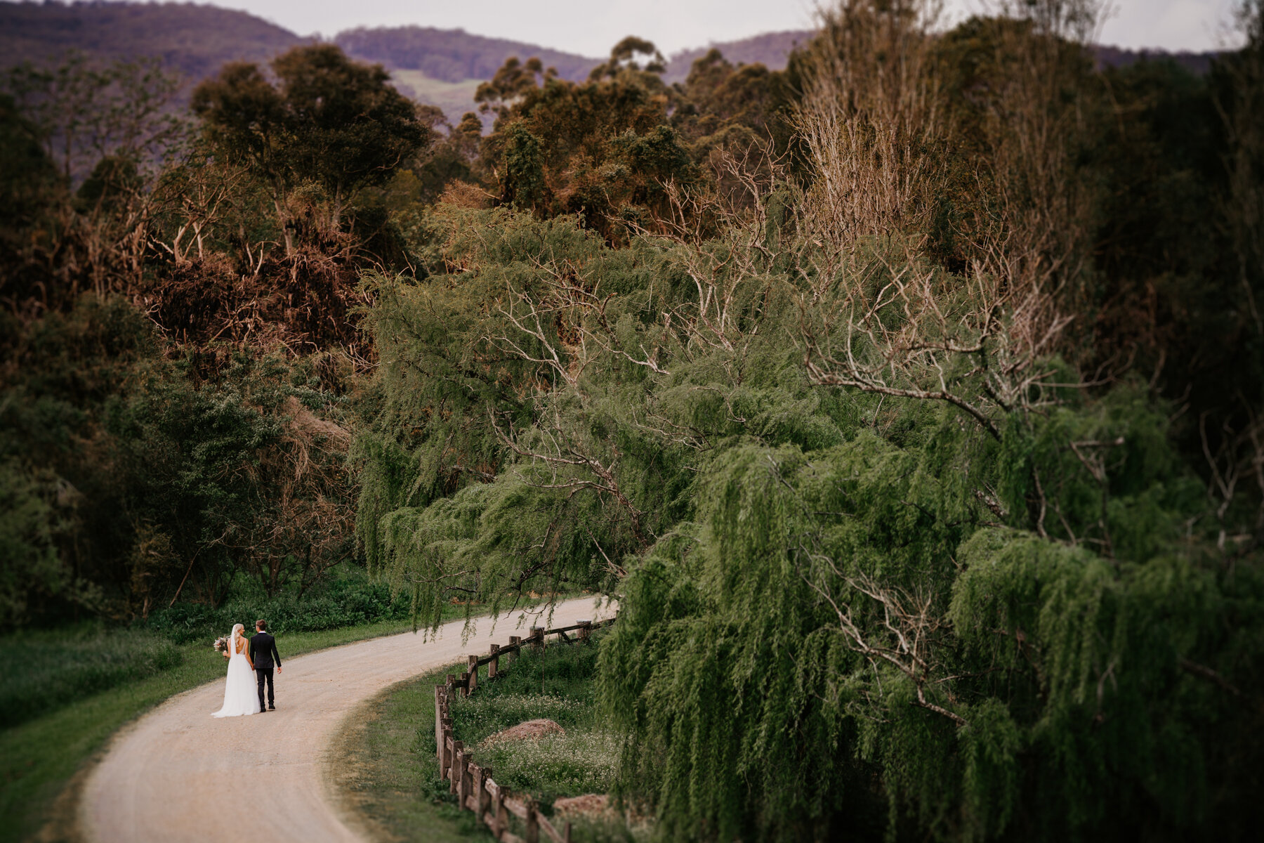 Tocal Homestead Wedding Photos3.jpg