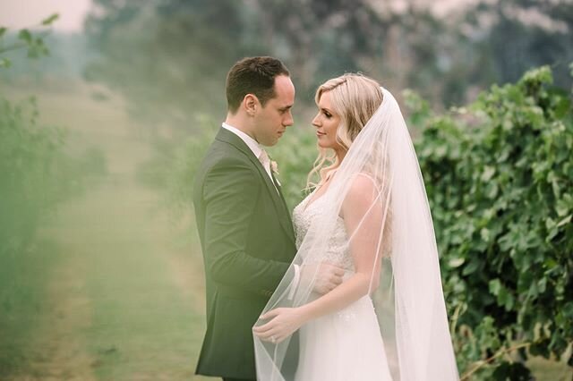 Kelly + Ruan // amongst the vines at the end of last year, it was such a smoky day in the hunter valley but we loved every second of this incredible day 💫