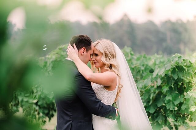 Kelly + Ruan // a special moment amongst the vines 🌿