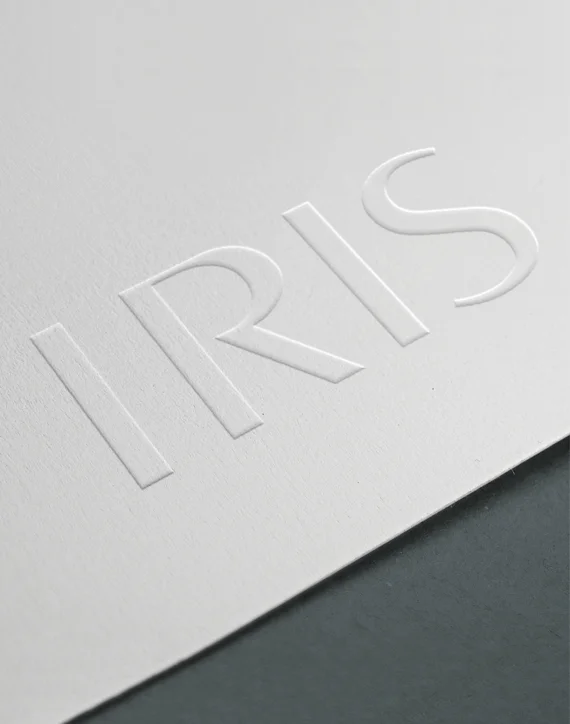 DamianGarbenis_IRIS_04.jpg