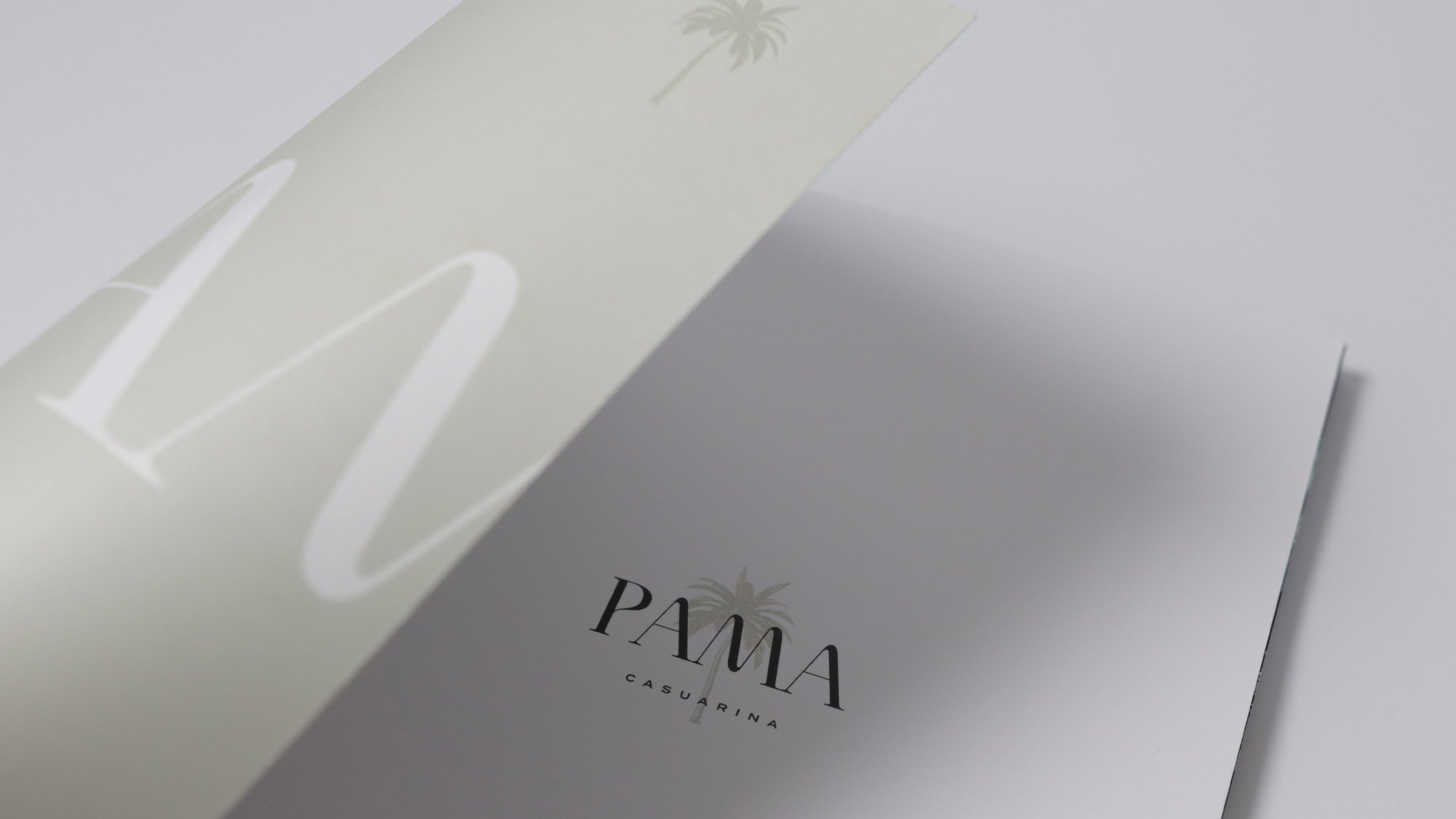 tpa_pama_brochure_IMG_7034.jpg