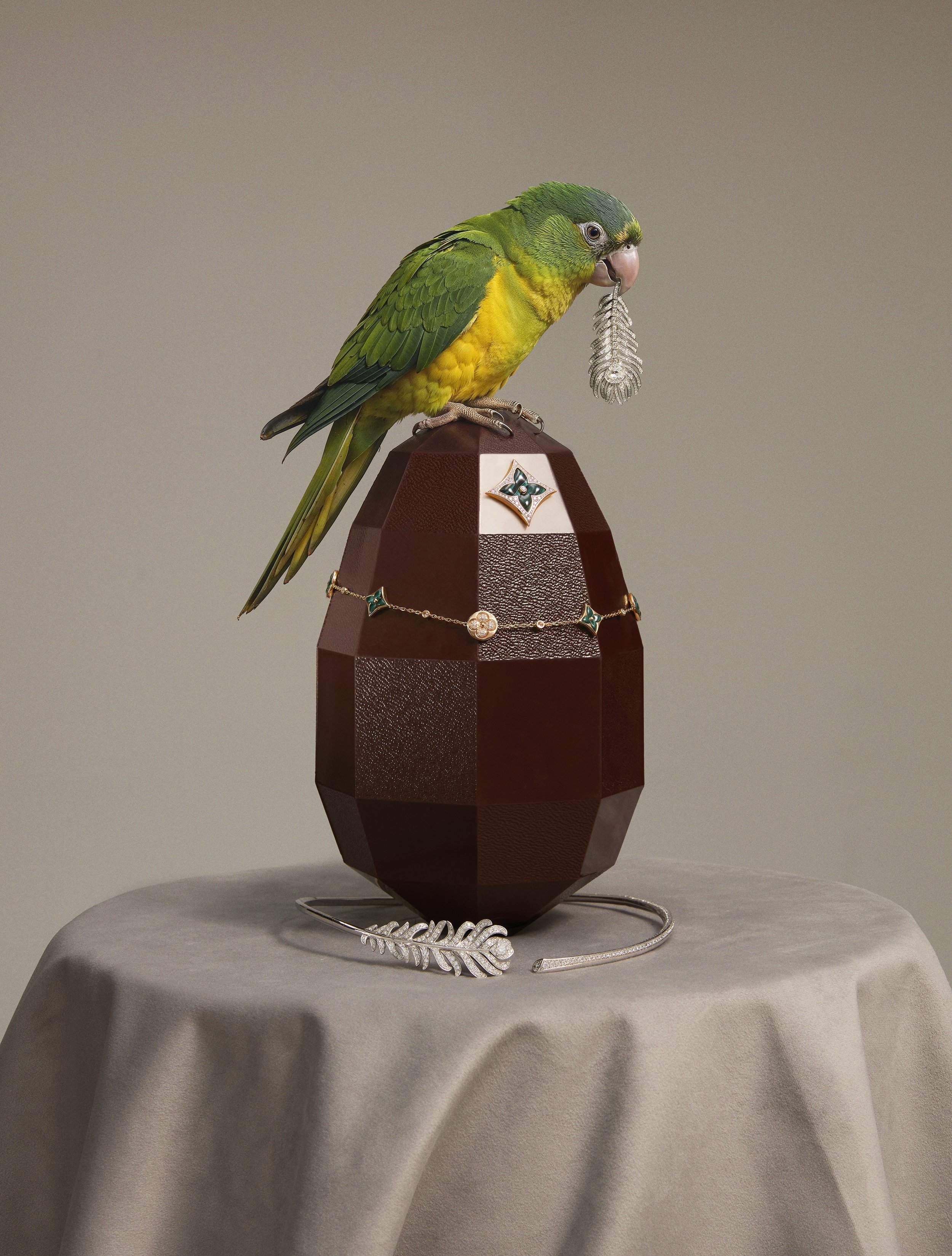 EDITO_GALA_BIRDS_09.jpg