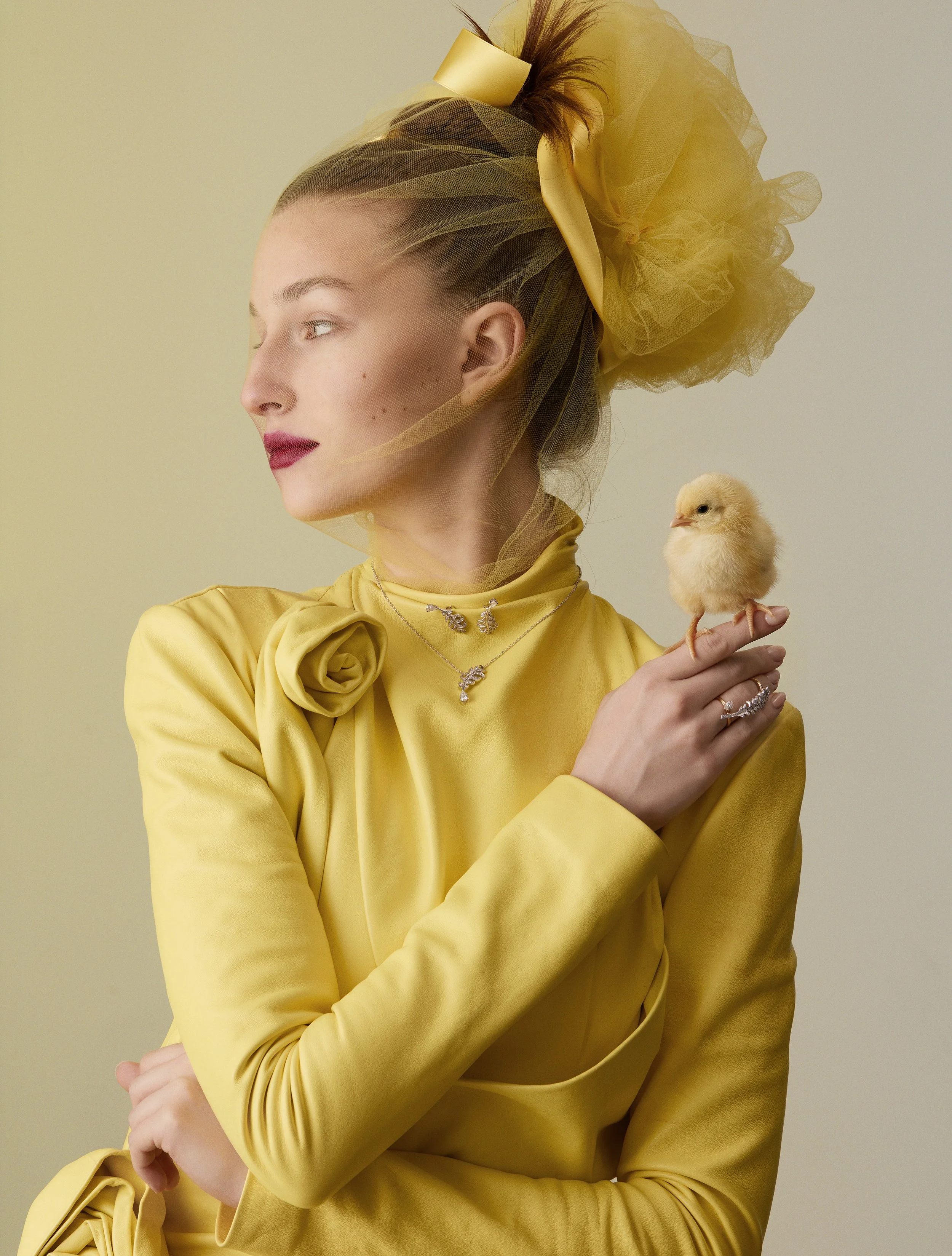 EDITO_GALA_BIRDS_10.jpg