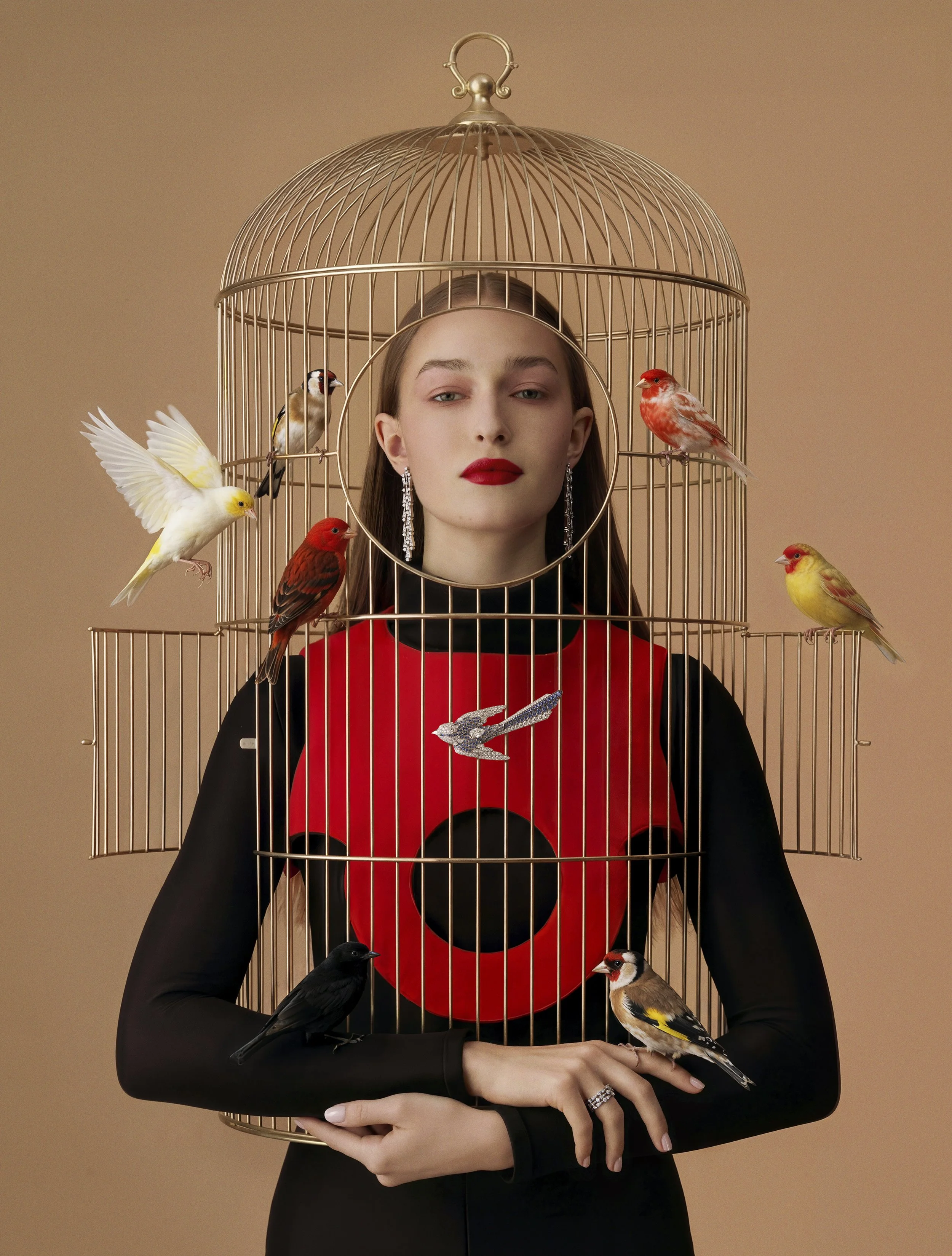 EDITO_GALA_BIRDS_11.jpg