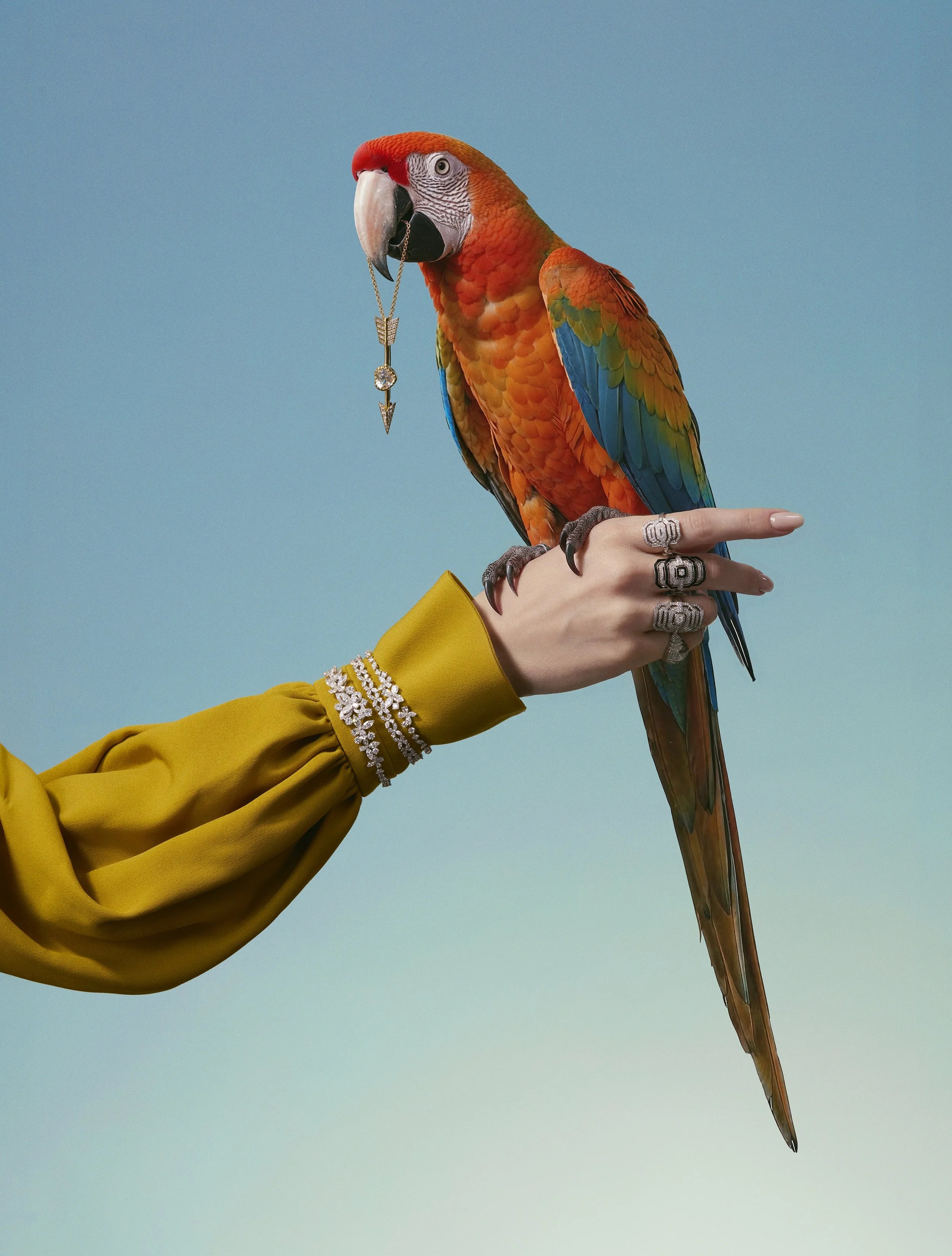 EDITO_GALA_BIRDS_12.jpg