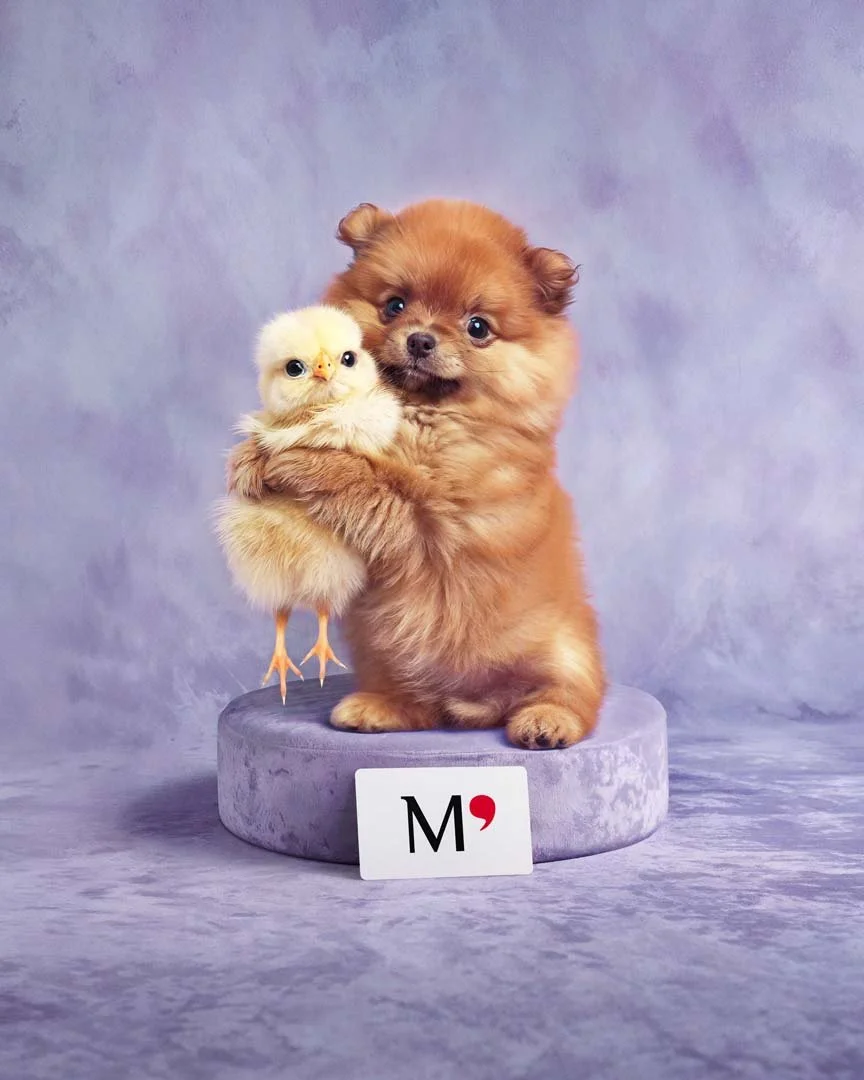 AD_MONOPRIX_01.jpg