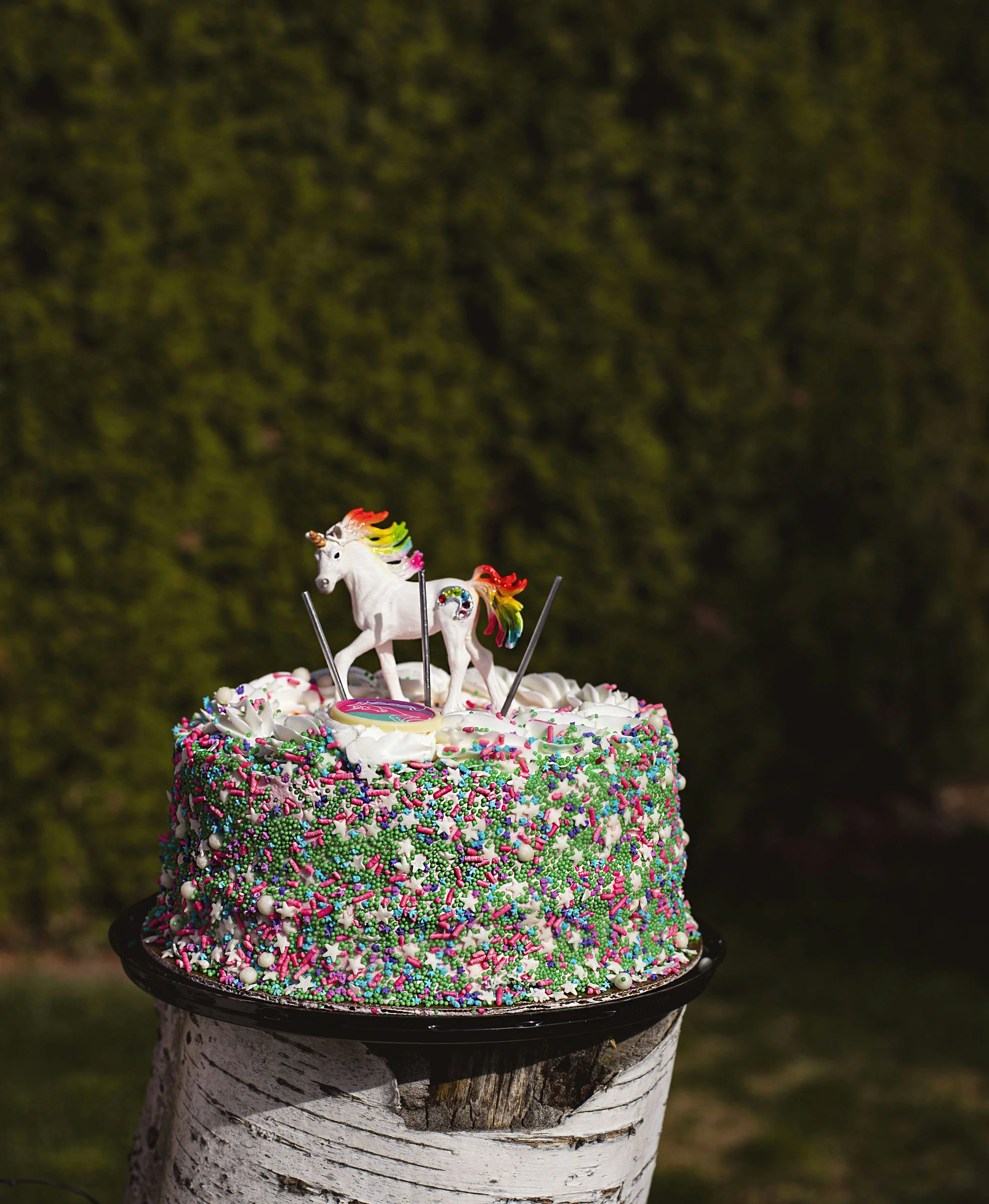 unsplash-image-Bta8eFrMb2Q.jpg