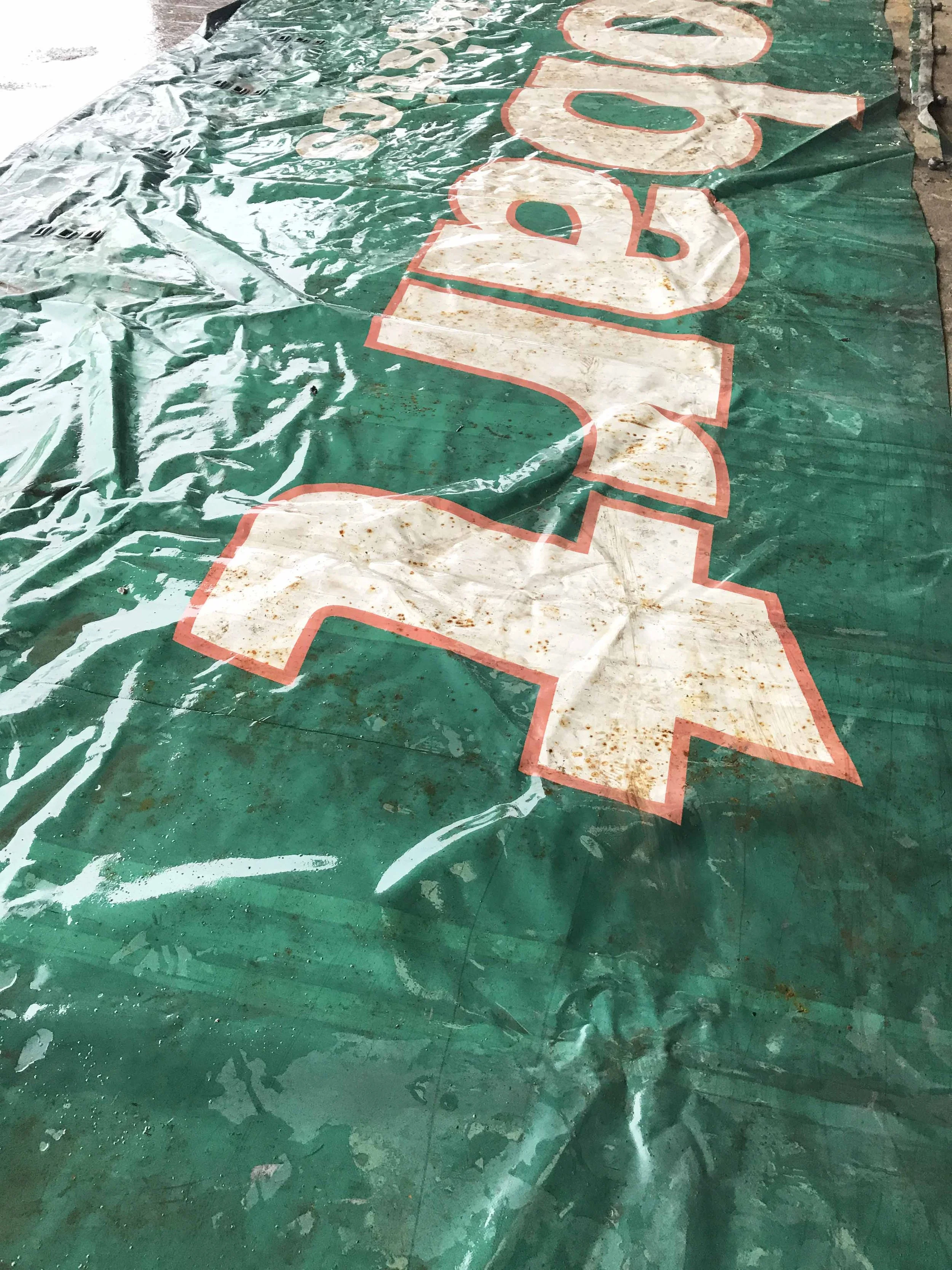 eddie sto tarp.jpg