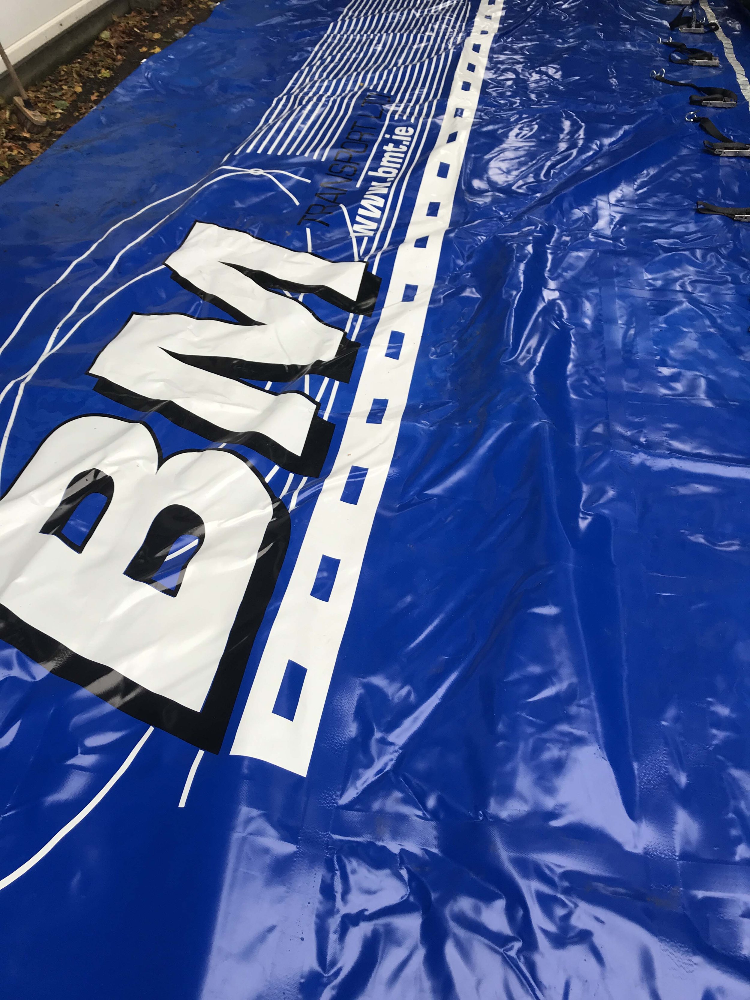 Blue Tarp.jpg