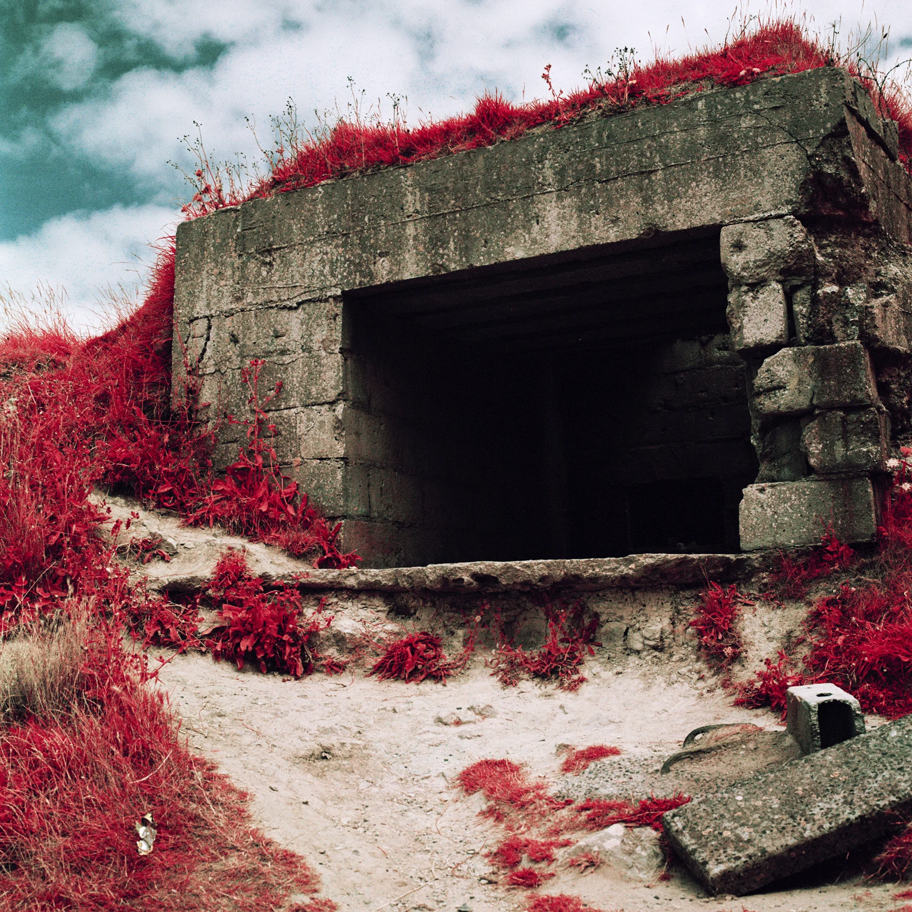 D-Day72-lores.jpg