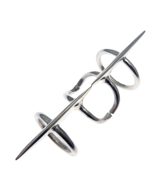 CHSS15_ARTICUALTED_RING_2final_copy.jpeg