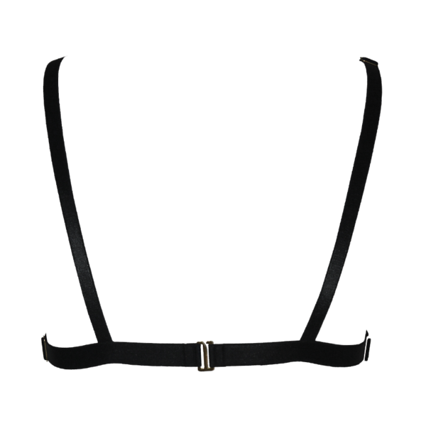 Nipple-ring-brabacktrans_view.png